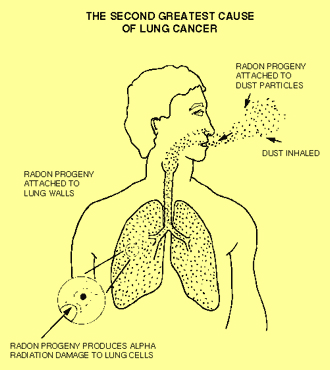 Diagram of How Radon Causes Lung Cancer